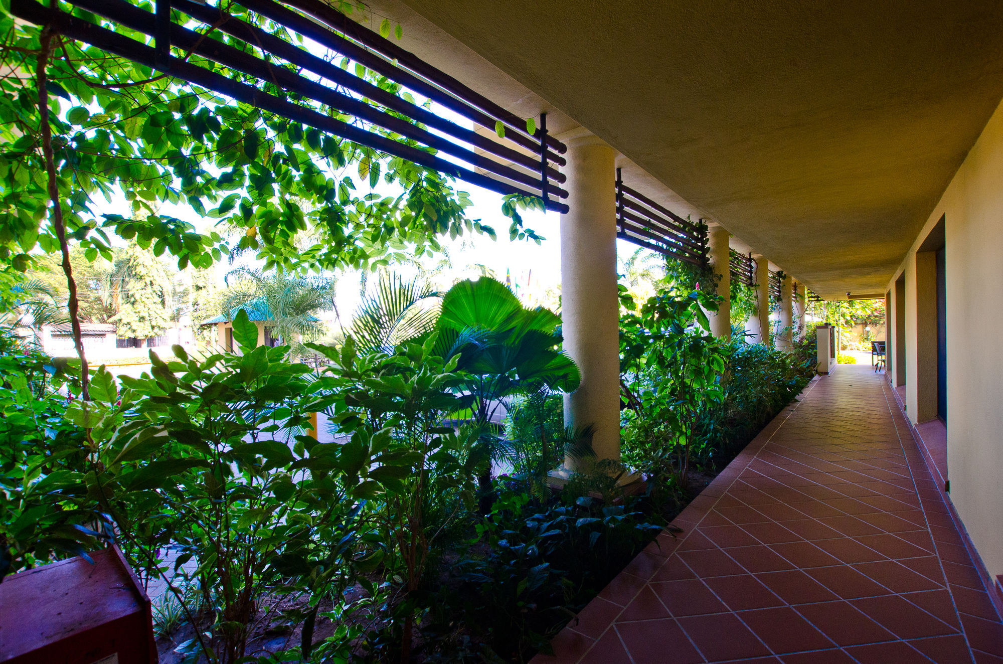 Sea Cliff Court Hotel & Luxury Apartments ダル・エス・サラーム エクステリア 写真
